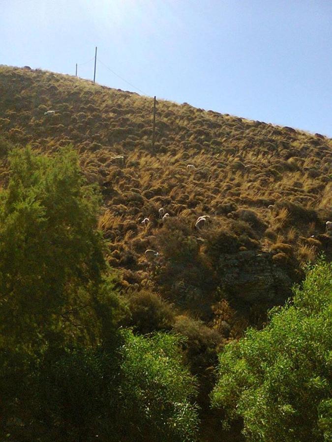 فيلا Sifis Pirounakis Anatoli Léntas المظهر الخارجي الصورة